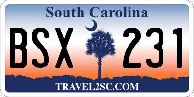 SC license plate BSX231