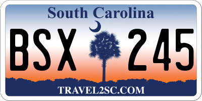 SC license plate BSX245