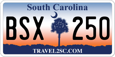 SC license plate BSX250