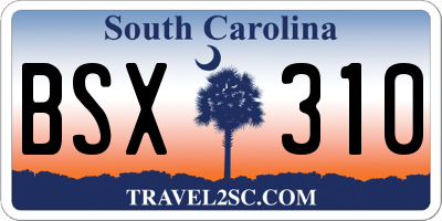 SC license plate BSX310