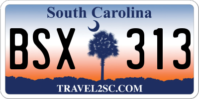 SC license plate BSX313