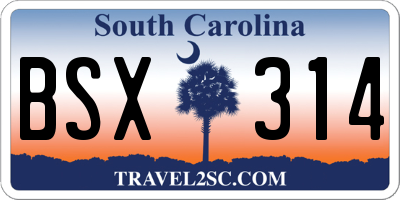 SC license plate BSX314