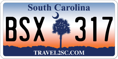 SC license plate BSX317