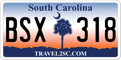 SC license plate BSX318
