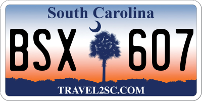 SC license plate BSX607