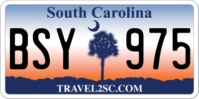 SC license plate BSY975