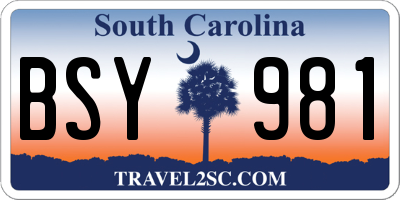 SC license plate BSY981
