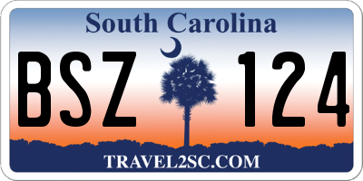 SC license plate BSZ124