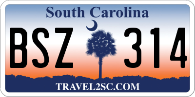 SC license plate BSZ314