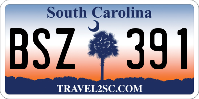 SC license plate BSZ391