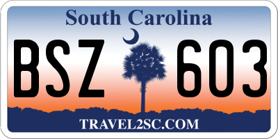 SC license plate BSZ603