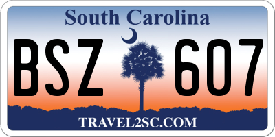 SC license plate BSZ607