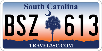 SC license plate BSZ613