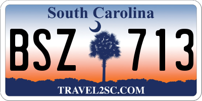 SC license plate BSZ713