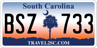 SC license plate BSZ733