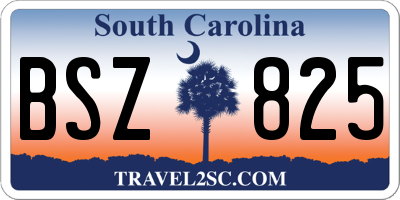 SC license plate BSZ825