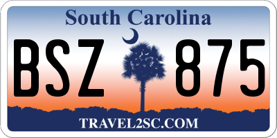 SC license plate BSZ875