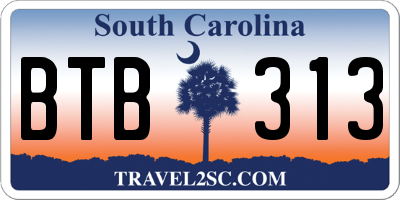 SC license plate BTB313