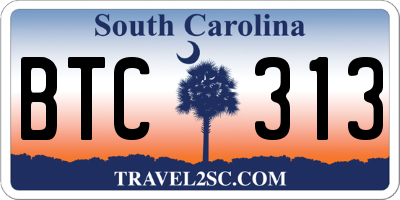 SC license plate BTC313