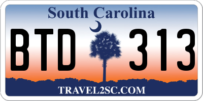 SC license plate BTD313