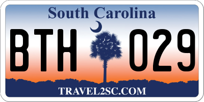 SC license plate BTH029