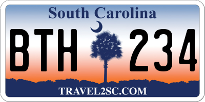 SC license plate BTH234