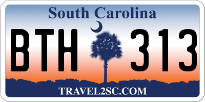SC license plate BTH313
