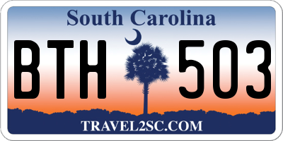 SC license plate BTH503