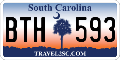SC license plate BTH593