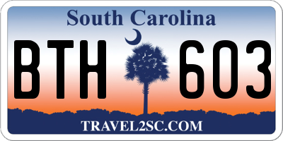 SC license plate BTH603