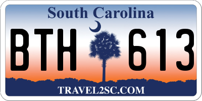 SC license plate BTH613
