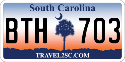 SC license plate BTH703