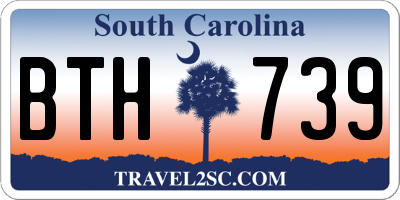 SC license plate BTH739