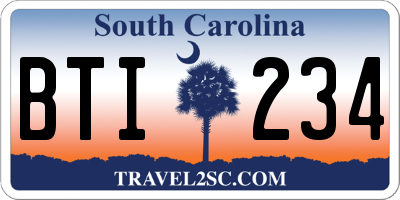 SC license plate BTI234