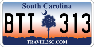 SC license plate BTI313