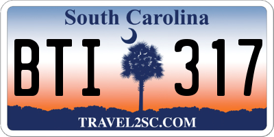 SC license plate BTI317