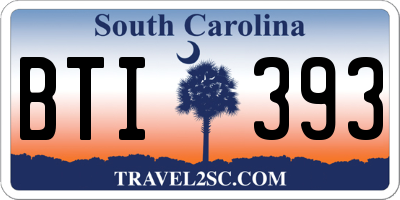 SC license plate BTI393