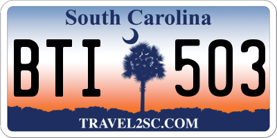SC license plate BTI503