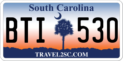 SC license plate BTI530