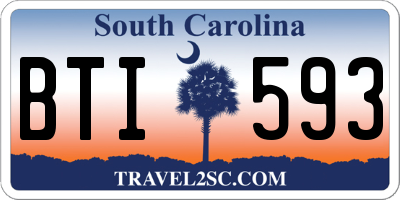 SC license plate BTI593