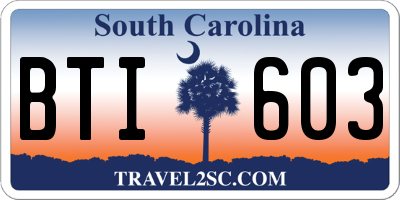 SC license plate BTI603