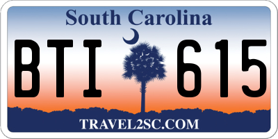 SC license plate BTI615