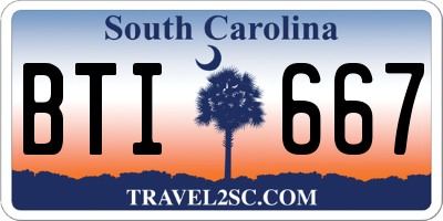 SC license plate BTI667