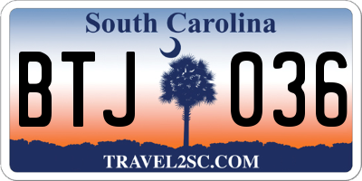 SC license plate BTJ036