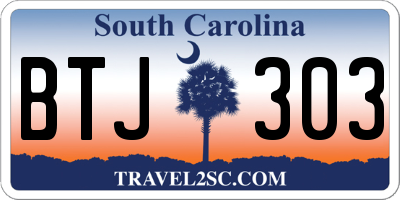 SC license plate BTJ303