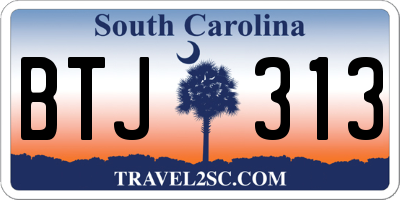 SC license plate BTJ313