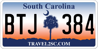 SC license plate BTJ384