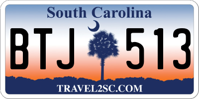 SC license plate BTJ513