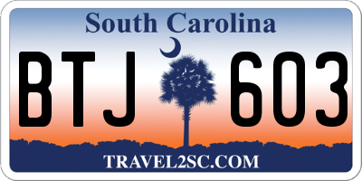 SC license plate BTJ603
