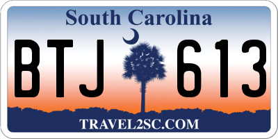SC license plate BTJ613